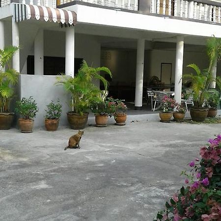 My Palace Inn 코팡안 외부 사진